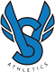VS Athletics Clinics